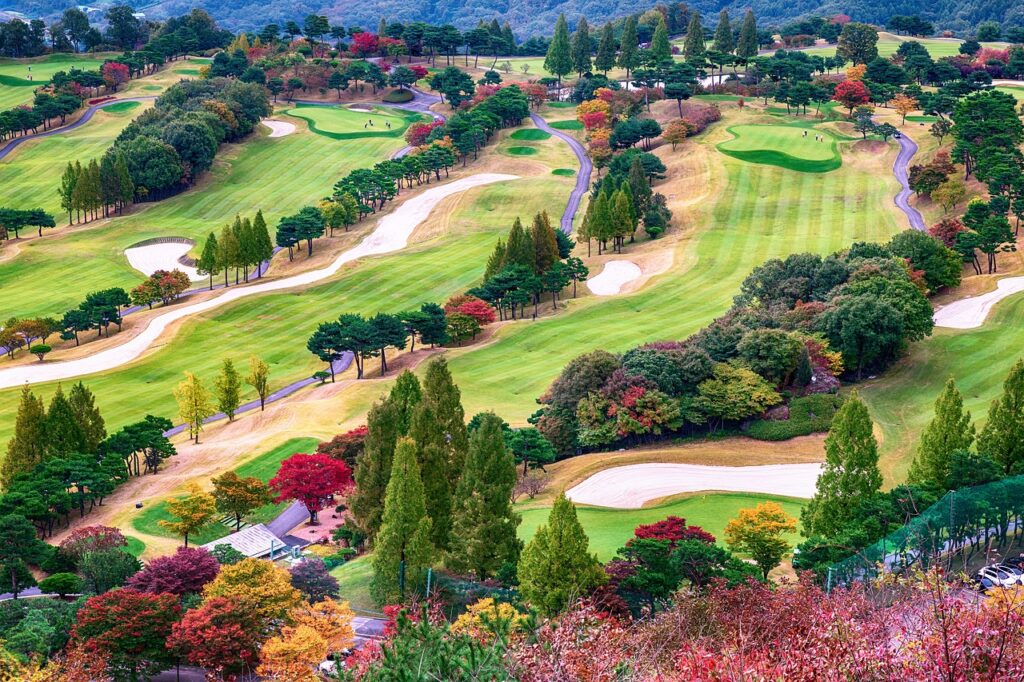 autumn, golf, golf course